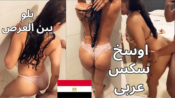 The best Egyptian Sharmota اجمد سكس مصرى ممكن تشوفه شغال نيك فيها فى الاوضه و دخل وراها الحمام تقوله احوو براحه بلو يا عرص