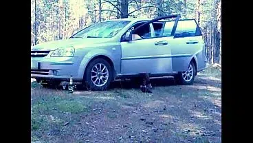Holiday in forest