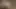 Naughty Adventures in the Forest – 3D Animaiton Porn