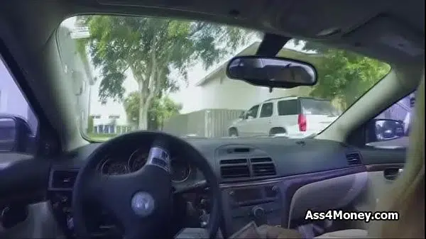 Picked up blonde blows in the car